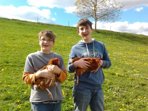Hühner und Kinder beim Urlaub auf dem Bauernhof