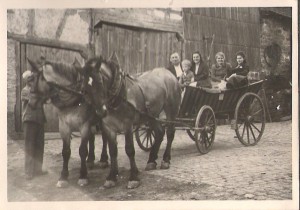 Urlaub Deutschland, Zeltnerhof, Kutschfahrt auf dem Heuwagen