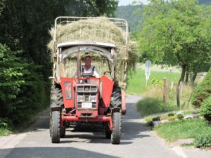 Heuernte Bauernhof Heuwagen