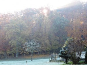 Herbstsonne, Urlaub auf dem Bauernhof, Zeltnerhof