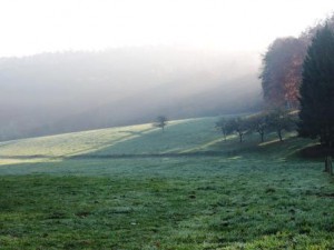 Wiese, Urlaub mit Kindern, Zeltnerhof