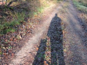 Schattenspiel Hund, Bauernhofurlaub