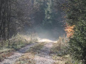 Urlaub auf dem Bauernhof Nebelweg