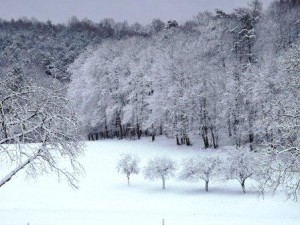 Schnee auf dem Bauernhof, Klingenbuckel