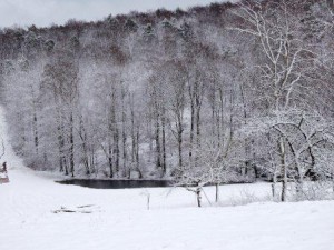 Schnee auf dem Bauernhof, Nauwiese