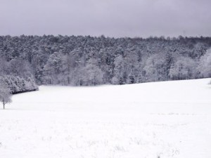 Schnee auf dem Bauernhof, Schlitten fahren, rodeln