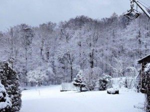 Schnee auf dem Bauernhof, Wiese unterhalb Ferienwohnung