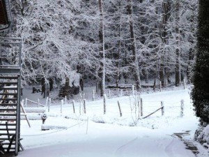 Schnee auf dem Bauernhof, Zeltnerhof, Waldweg