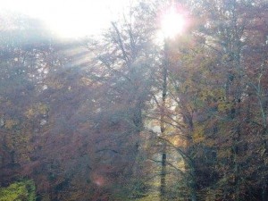 Sonnenstrahlen, Ferien auf dem Bauernhof, Herbst, Zeltnerhof