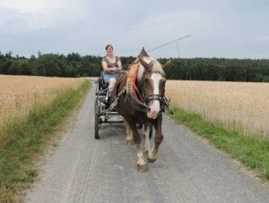 Read more about the article Heidi in Tracht – Kutsche fahren