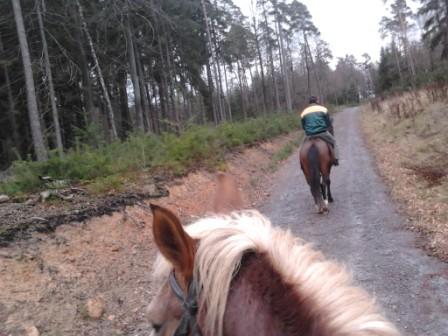 You are currently viewing Reiten auf dem Bauernhof