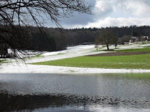 Read more about the article Bauernhof für Kinder