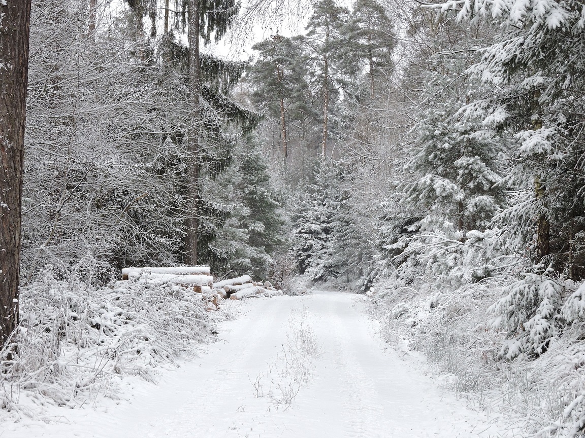Read more about the article Wintereinbruch auf dem Zeltnerhof