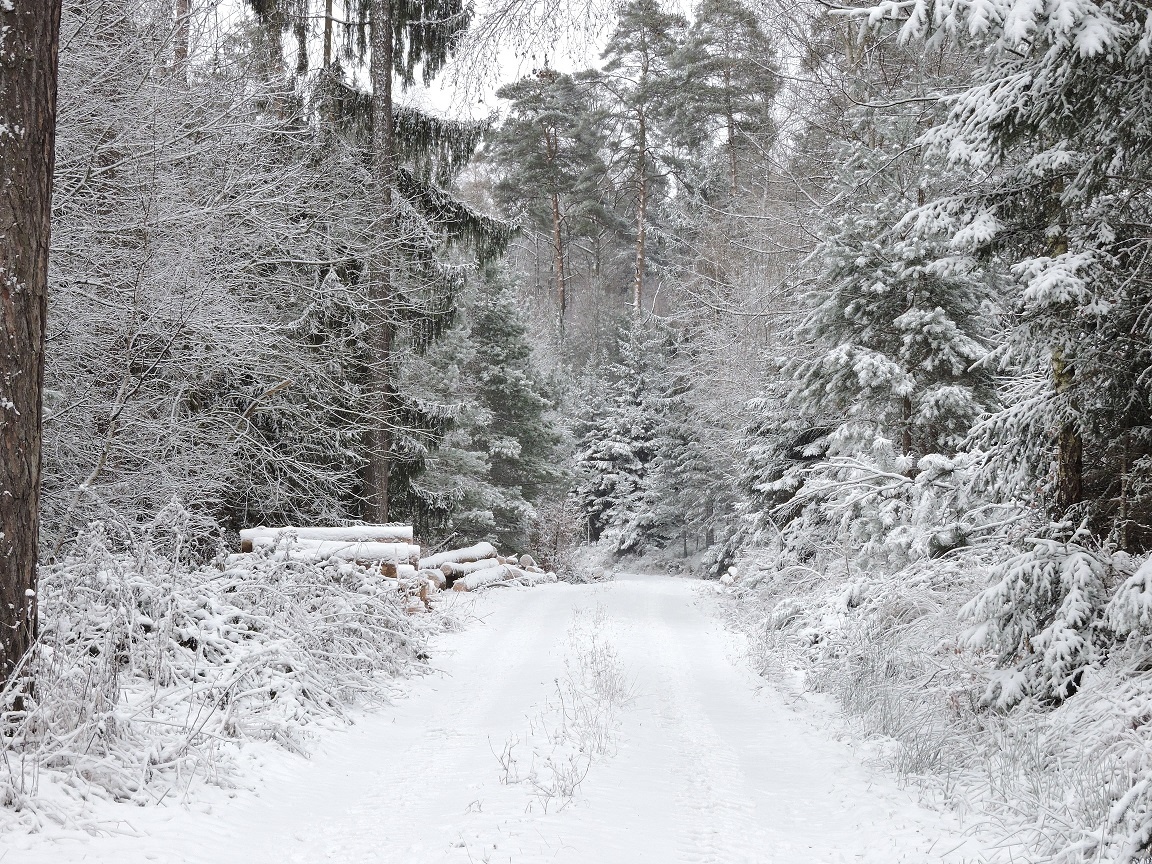 You are currently viewing Wintereinbruch auf dem Zeltnerhof